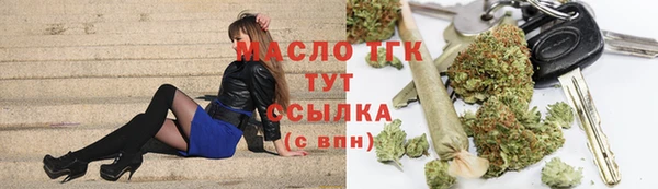 шишки Гусиноозёрск