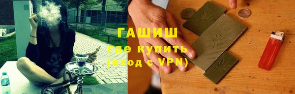 шишки Гусиноозёрск