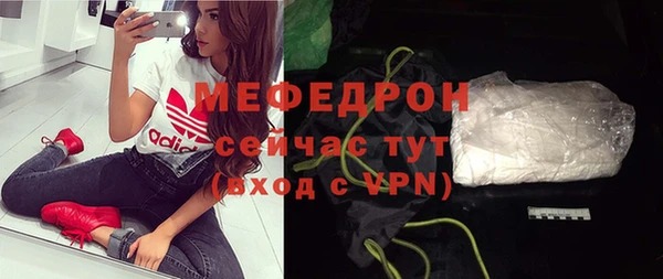 шишки Гусиноозёрск