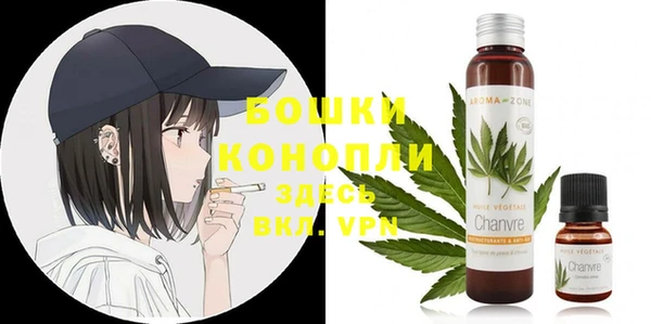 шишки Гусиноозёрск