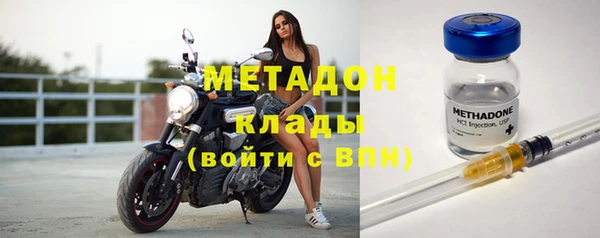 шишки Гусиноозёрск