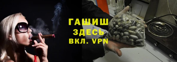 шишки Гусиноозёрск