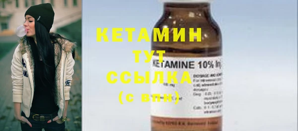 шишки Гусиноозёрск