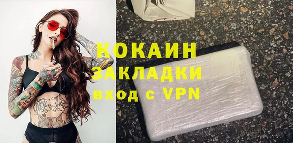шишки Гусиноозёрск