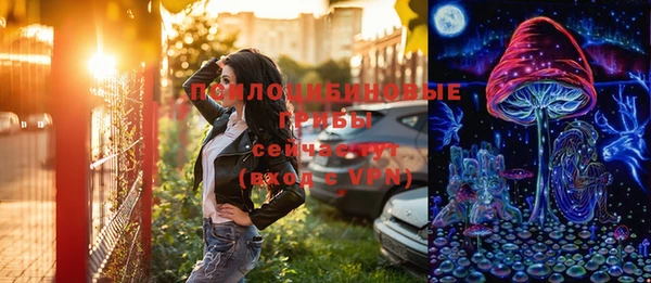 mdpv Гусев