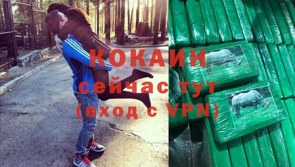 шишки Гусиноозёрск