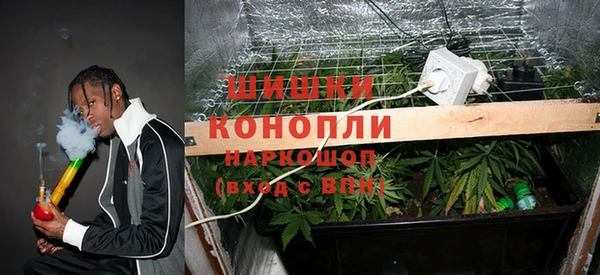 mdpv Гусев