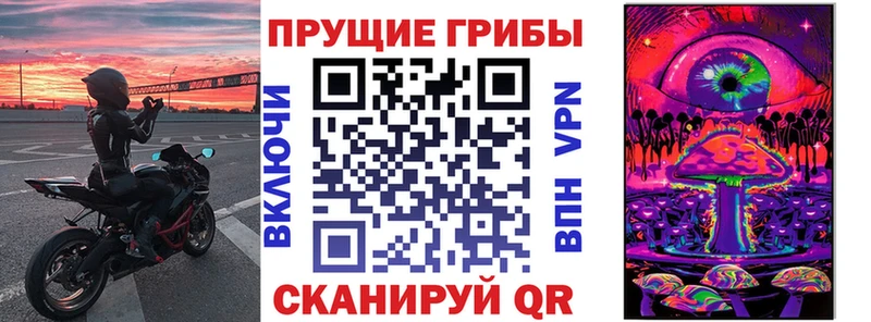Псилоцибиновые грибы прущие грибы  блэк спрут вход  Добрянка 